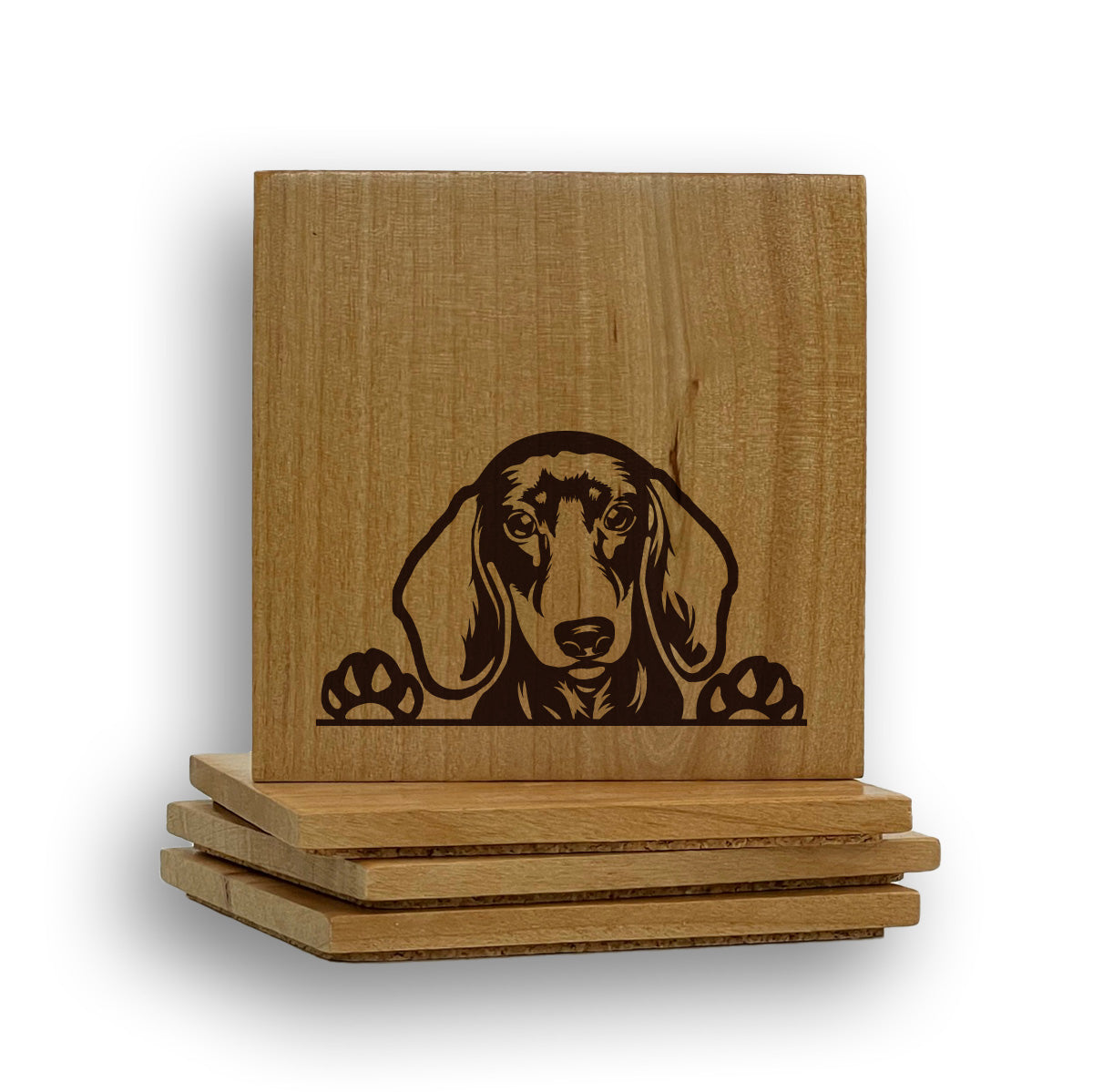 Dachshund Peeking Coaster