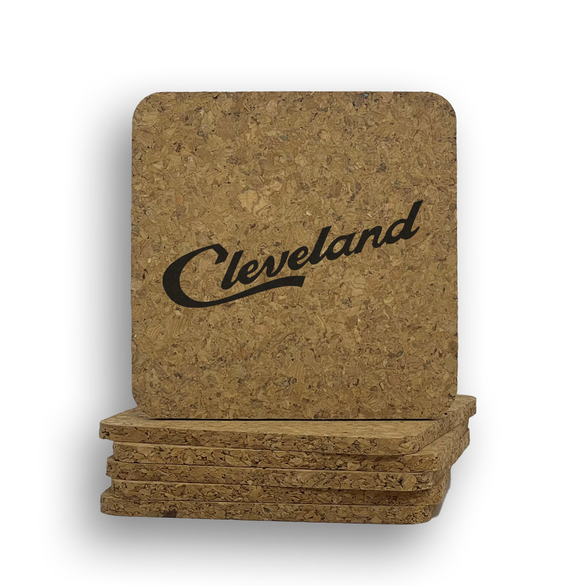 Script Cleveland Coaster