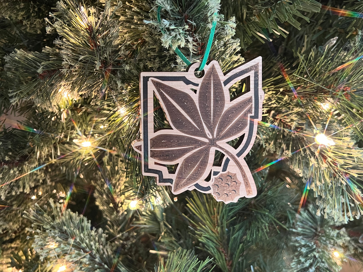 Buckeye in Ohio Ornament